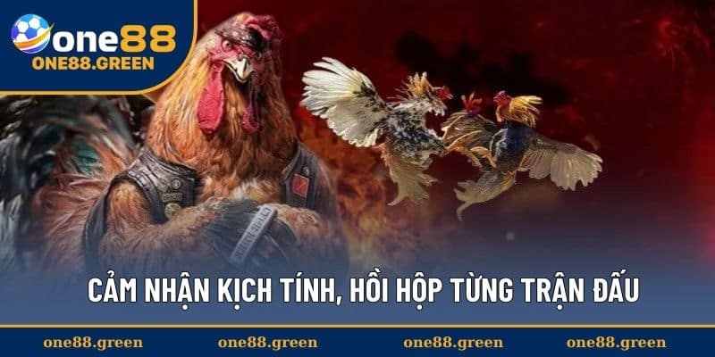 Cảm nhận kịch tính, hồi hộp từng trận đấu