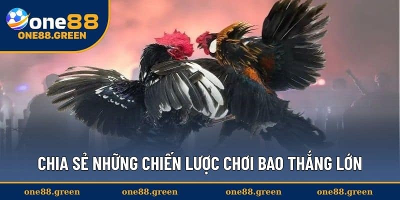 Chia sẻ những chiến lược chơi bao thắng lớn