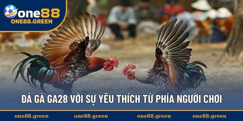 Đá gà GA28 với sự yêu thích từ phía người chơi