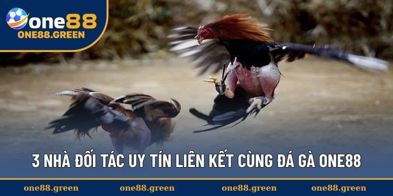 3 nhà đối tác uy tín liên kết cùng đá gà ONE88