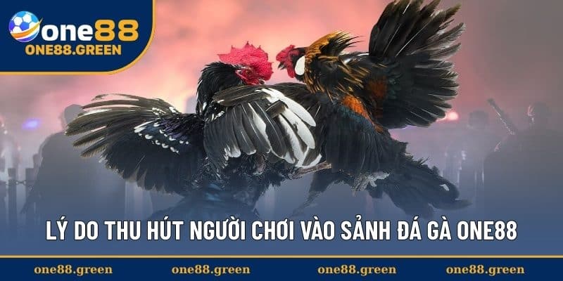 Lý do thu hút người chơi vào sảnh đá gà ONE88