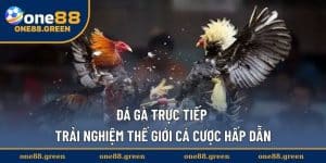 da-ga-truc-tiep-thumb