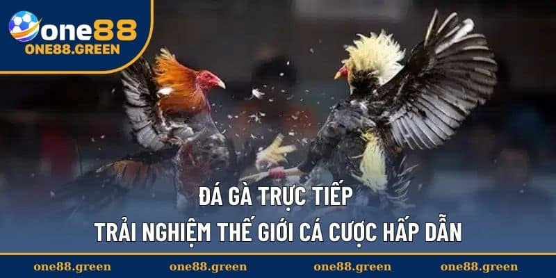 da-ga-truc-tiep-thumb