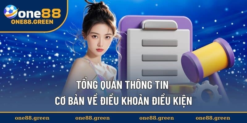Tổng quan thông tin cơ bản về điều khoản điều kiện