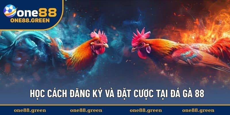 Học cách đăng ký và đặt cược tại đá gà 88