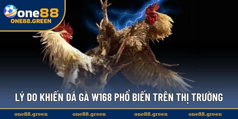 Lý do khiến đá gà W168 phổ biến trên thị trường