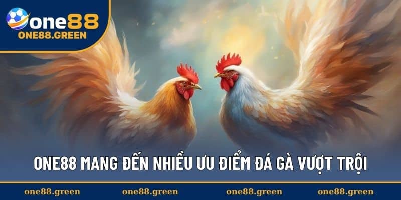 One88 mang đến nhiều ưu điểm đá gà vượt trội