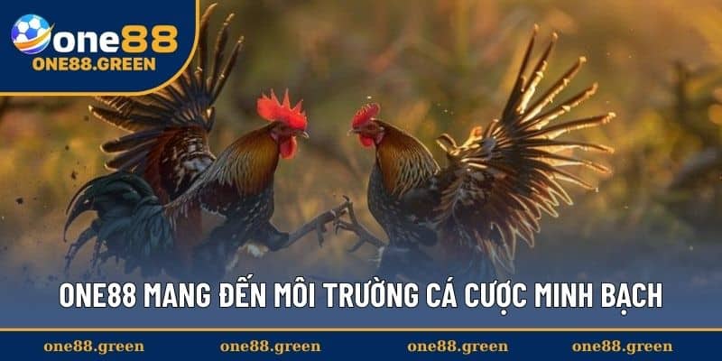 One88 mang đến môi trường cá cược minh bạch