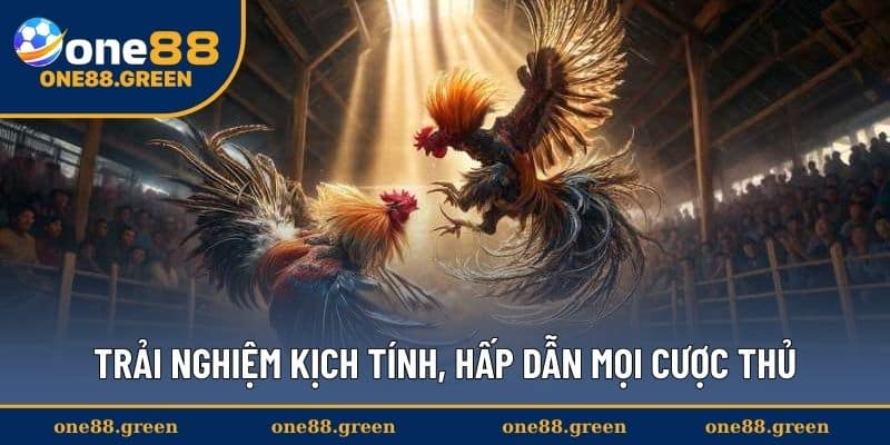 Trải nghiệm kịch tính, hấp dẫn mọi cược thủ